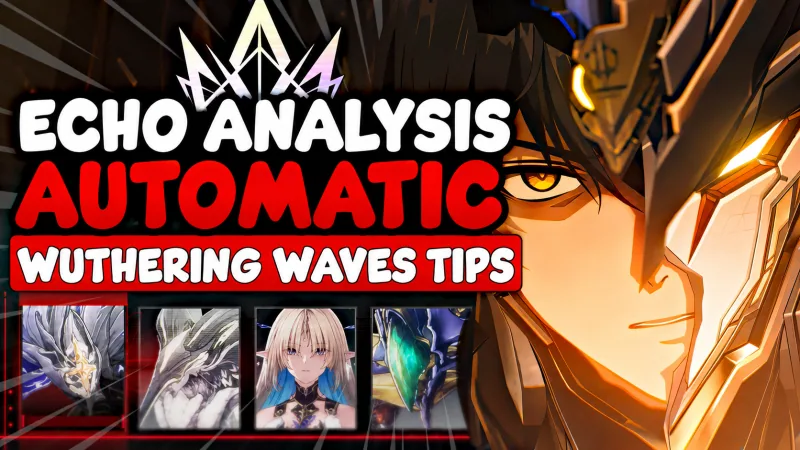 Echo Analyzer Wuthering Waves